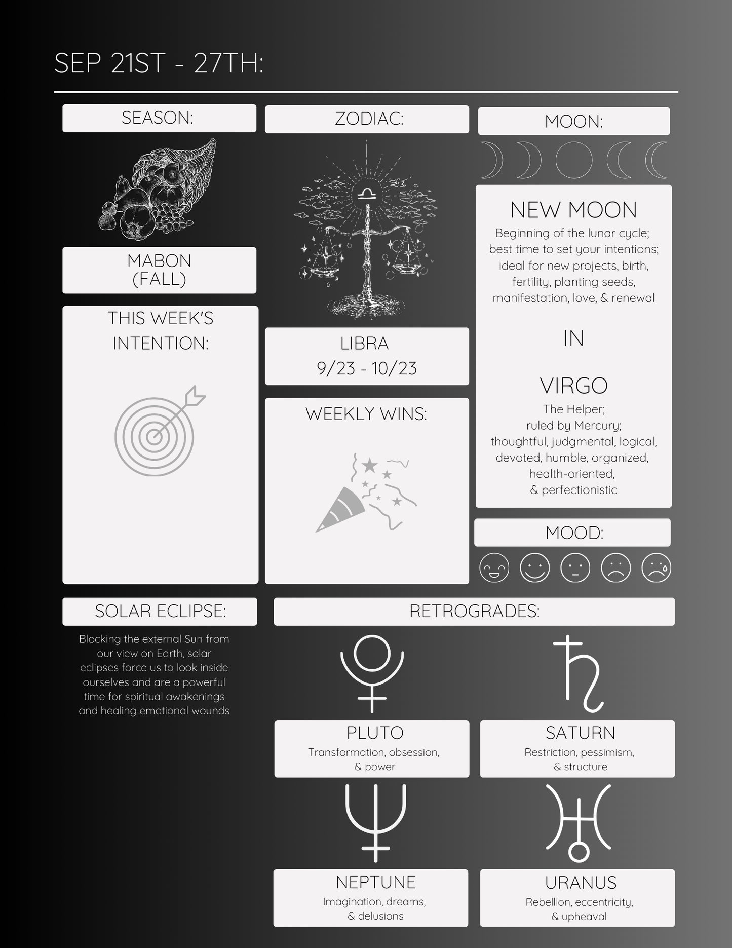 2025 Moon Phase Planner (Digital Version)