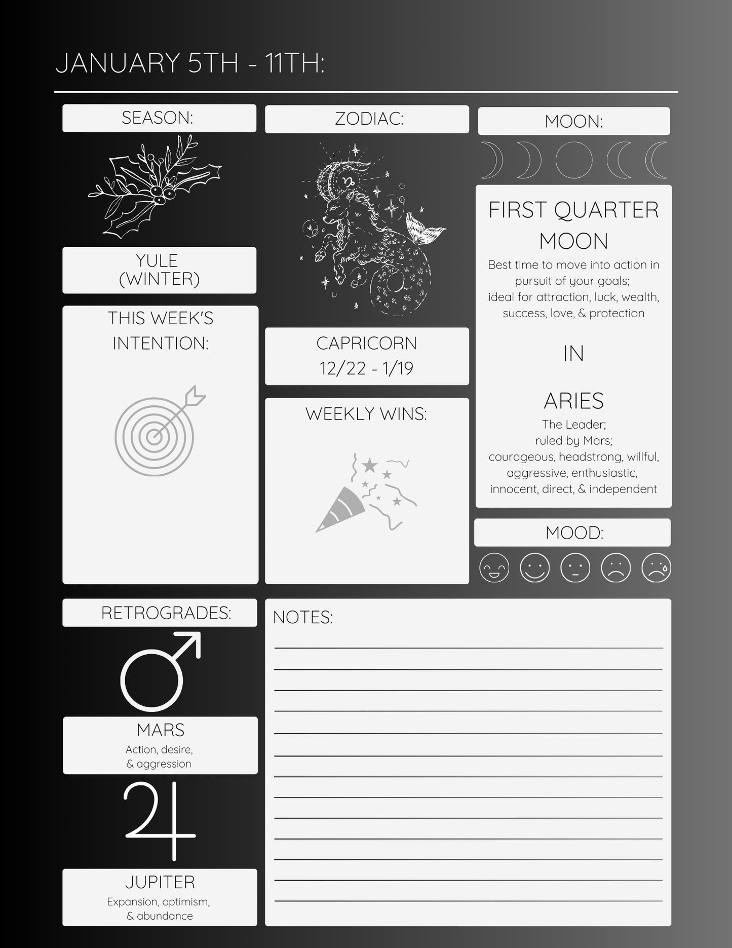 2025 Moon Phase Planner (Digital Version)