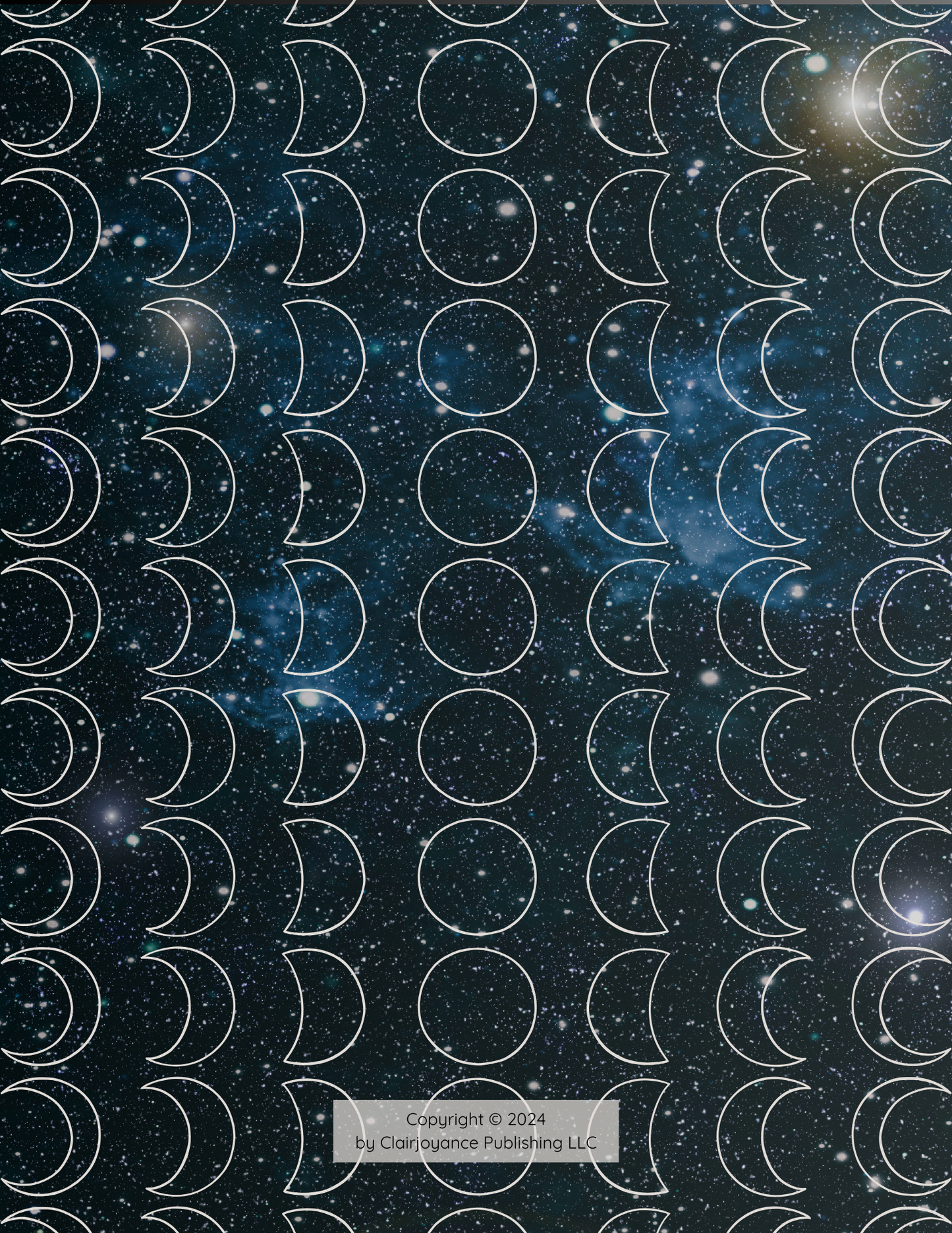 2025 Moon Phase Planner (Physical Version)