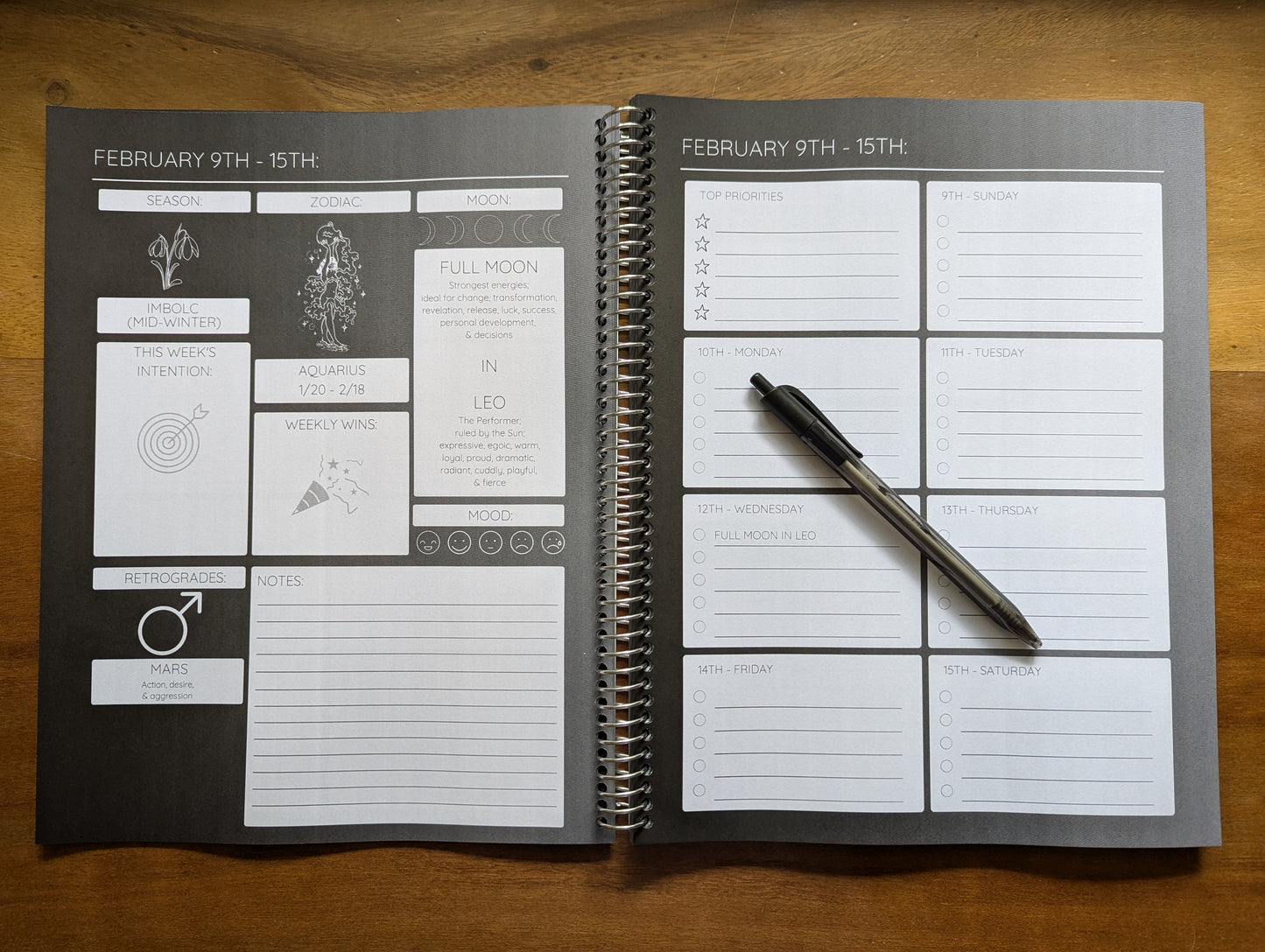 2025 Moon Phase Planner (Physical Version)