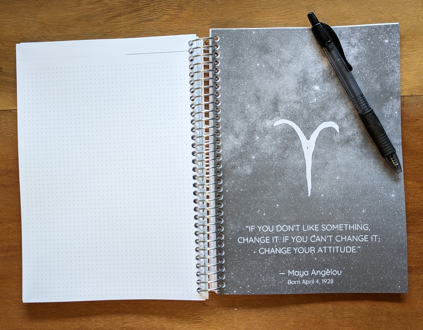 Aries Journal